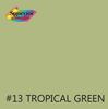 Immagine di FONDALE CARTA SUPERIOR 2.70x11 TROPICAL GREEN (13)