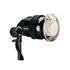 Immagine di TORCIA PROFOTO PRO-HEAD   2400W